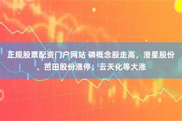 正规股票配资门户网站 磷概念股走高，澄星股份、芭田股份涨停，云天化等大涨