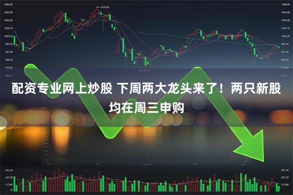 配资专业网上炒股 下周两大龙头来了！两只新股均在周三申购